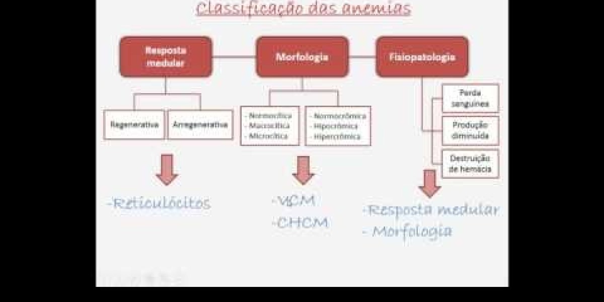 Todo lo que debes saber sobre el hemograma en perros: análisis completo