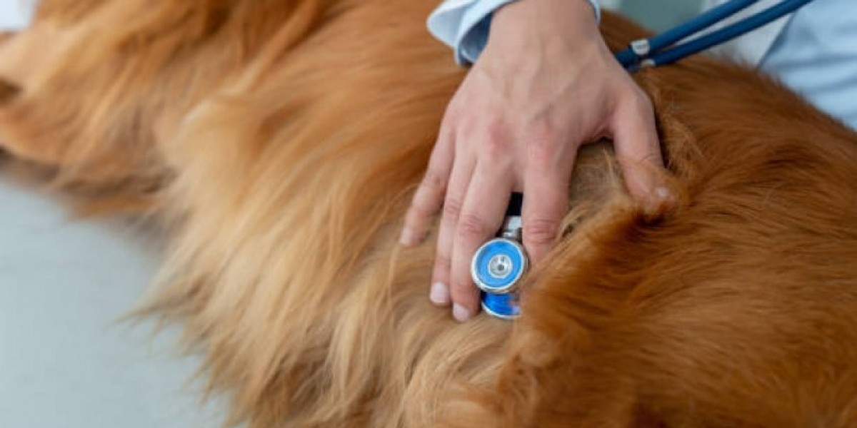 Eletro Veterinário: Inovações que Transformam os Cuidados com seu Pet