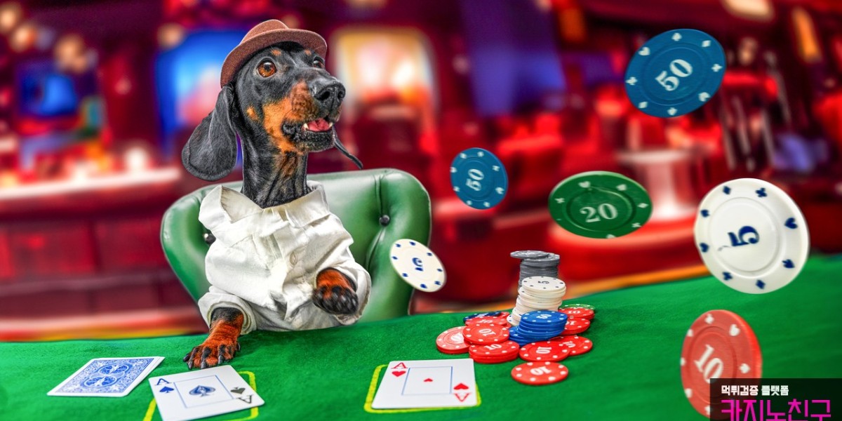 Explore Evolution Casino with the Trusted Scam Verification Platform Casino79